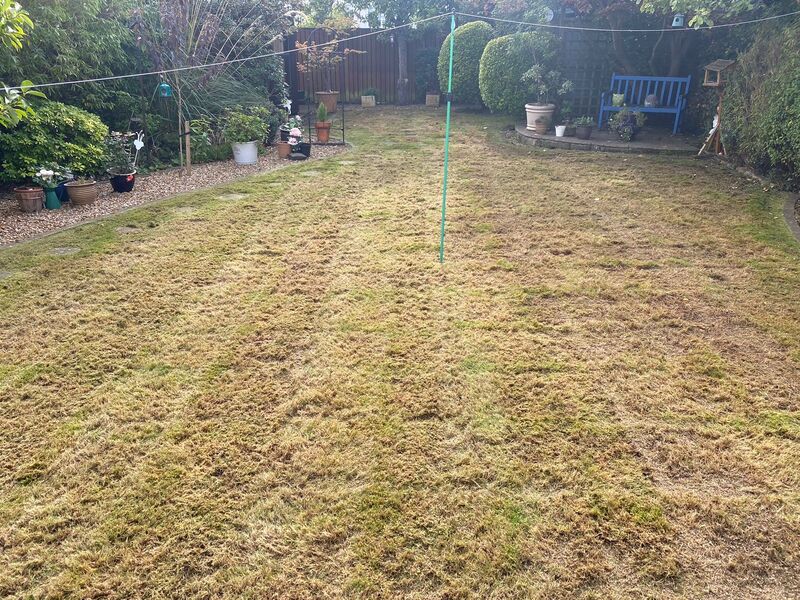 Does your garden lawn need scarifying? contact JDS Gardening in Edinburgh for a lawn scarifying quote in the Edinburgh area