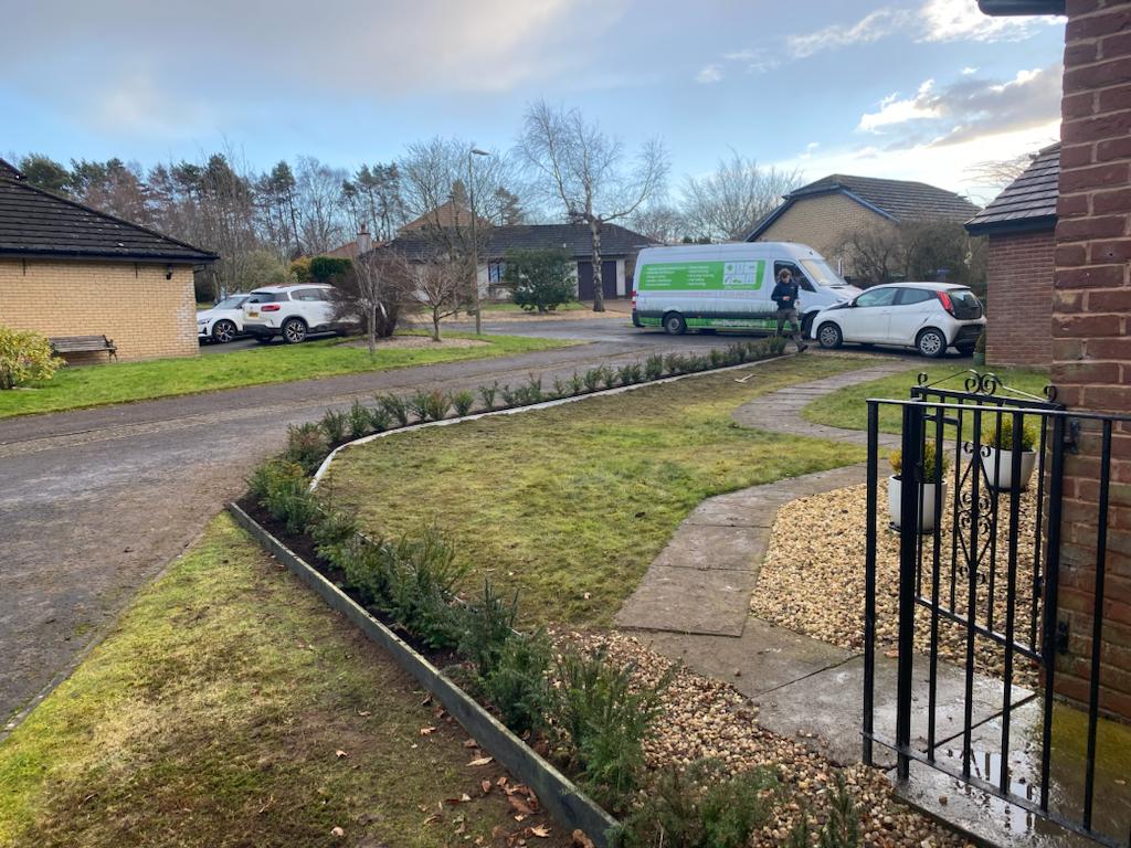 Leylandi hedge replacement in Edinburgh, click here for more info on installation costs