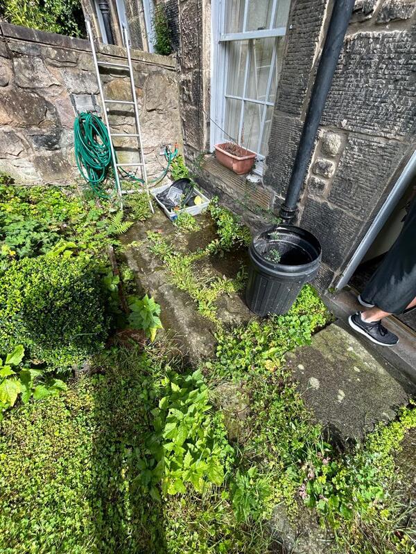 Before our team cleared this Edinburgh garden click here for a garden tidy quote in Edinburgh