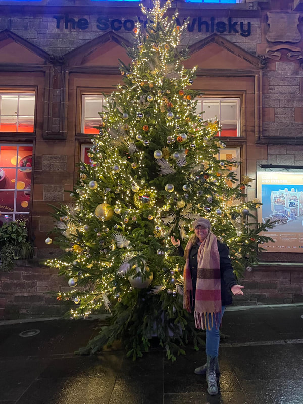 Large commercial Christmas Tree supply, delivery and installation in Scotland by JDS Gardening, click here and order a real Christmas tree for your business