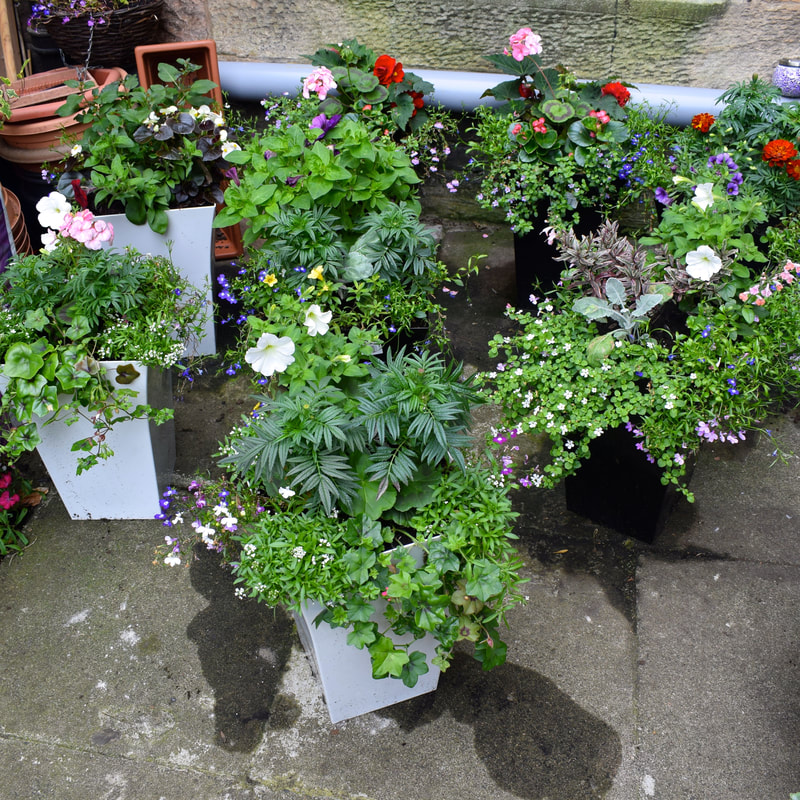 buy decorative garden planters online for delivery, click here