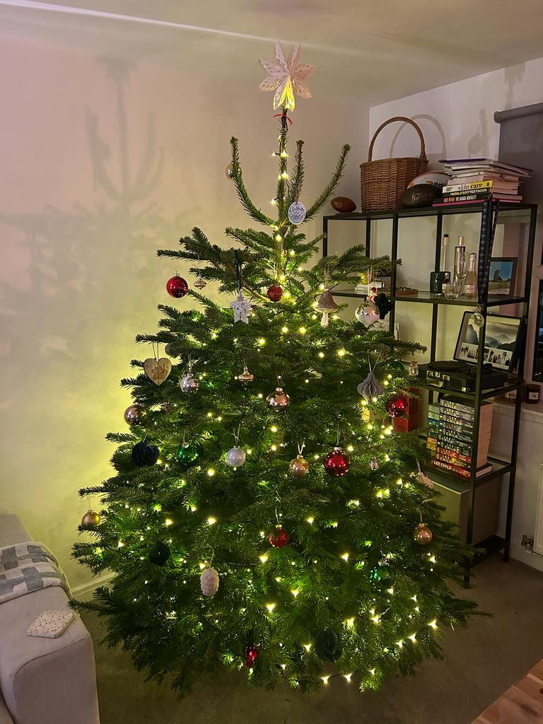 Real Christmas Trees for Sale in Edinburgh by JDS Gardening Services, click here and order a Real Christmas Tree Online 