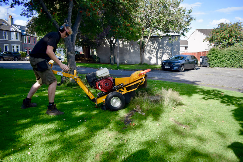 Tree Stump Grinding Services in Edinburgh by JDS Gardening, click here.