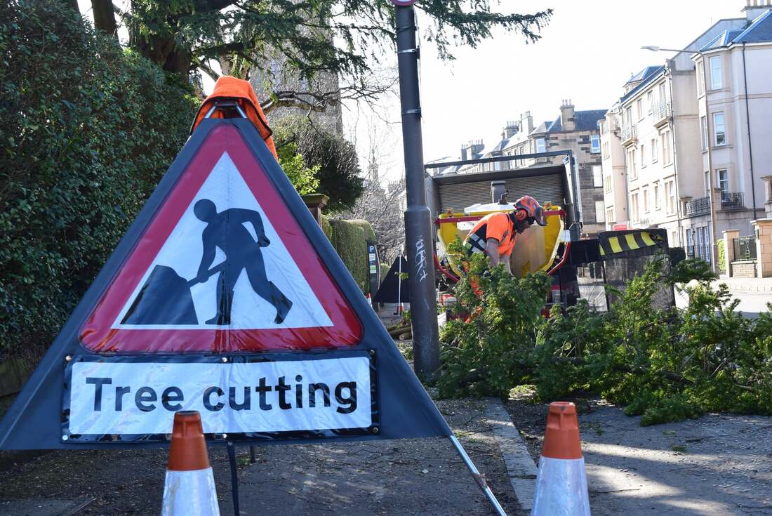 Tree Pruning services in Edinburgh by JDS Gardening, click and contact Edinburgh best Tree Surgeons JDS Gardening Services for a tree surgeon quote