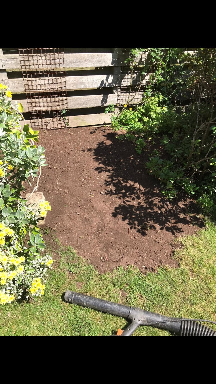 Tree Stump Removal Quotes in Edinburgh from JDS Gardening Services