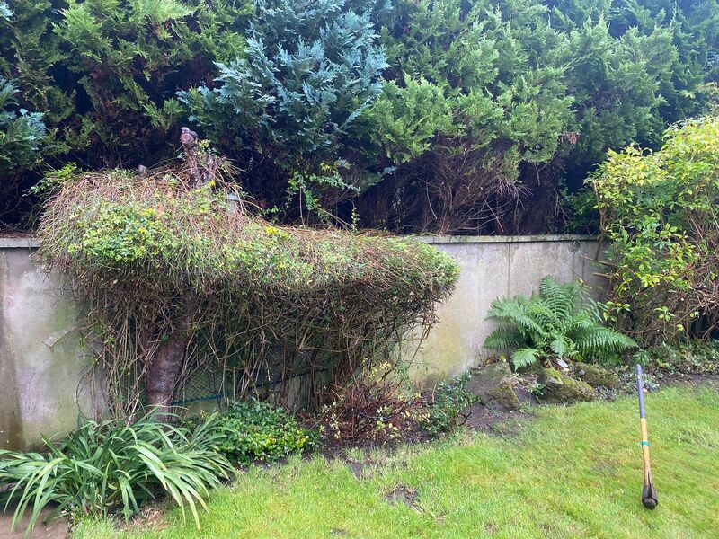 Does your garden in Little France need a tidy up? contact JDS Gardening Services for a garden tidy up quote in Little France Edinburgh