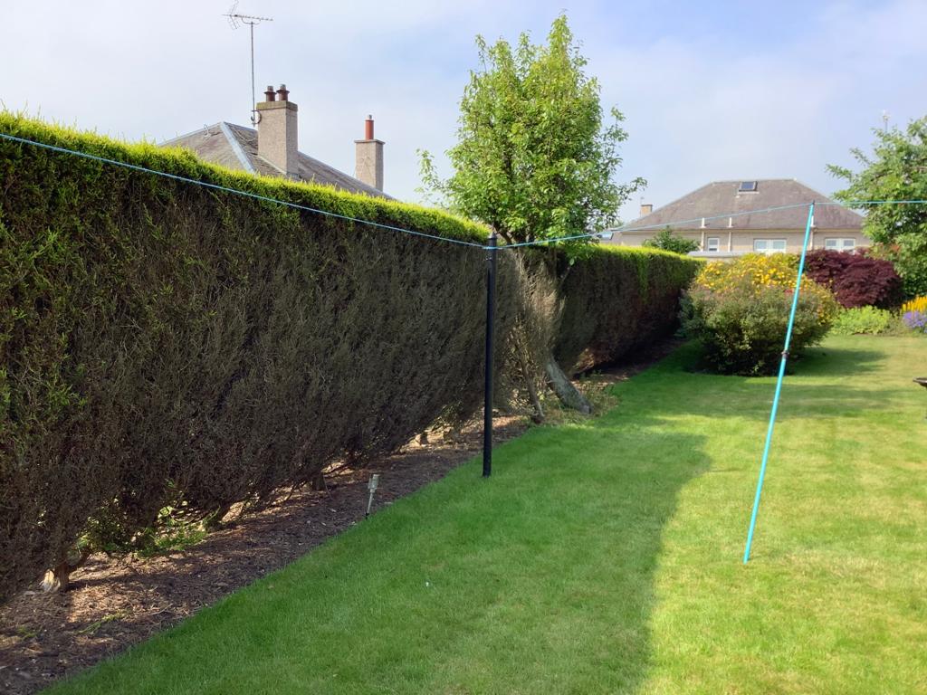 Hedge removal quote from JDS Gardening Edinburgh
