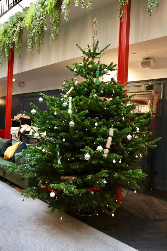 Would you like a real Christmas Tree delivered in Edinburgh this Christmas? click and order a real Fir Fraser Fir Christmas Tree online for delivery in the Edinburgh area