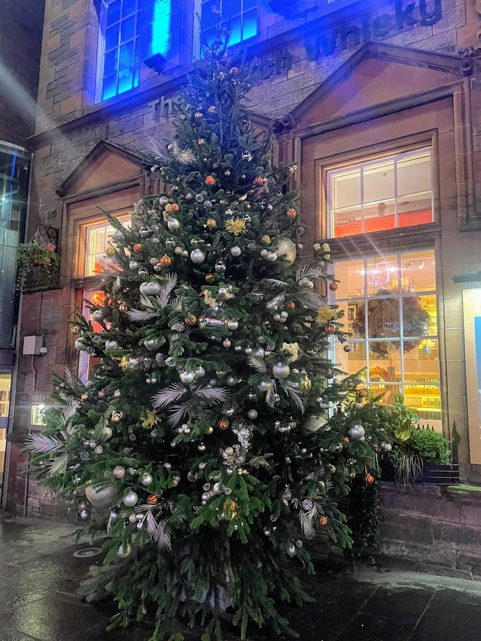Commercial Chistmas Tree Installation in Edinburgh by JDS Gardening, click here for a Nordmann Christmas Tree installation quote