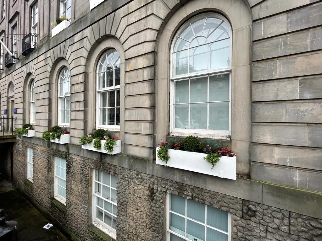 Office plants installed and maintaned in Edinburgh by JDS Gardening Services, click here for prices