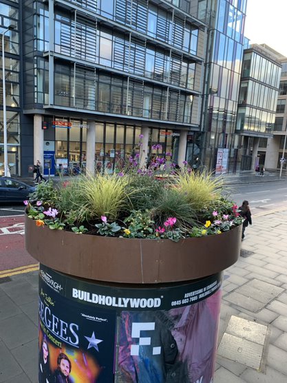 Commercial planting contractor in Edinburgh by JDS Gardening Services, click here for a quote