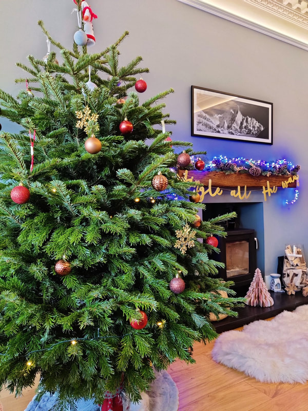 Real Nordmann and Fraser Fir Tree Delivery in Edinburgh, click here and order a Real Fir Christmas Tree for delivery in the Edinburgh area