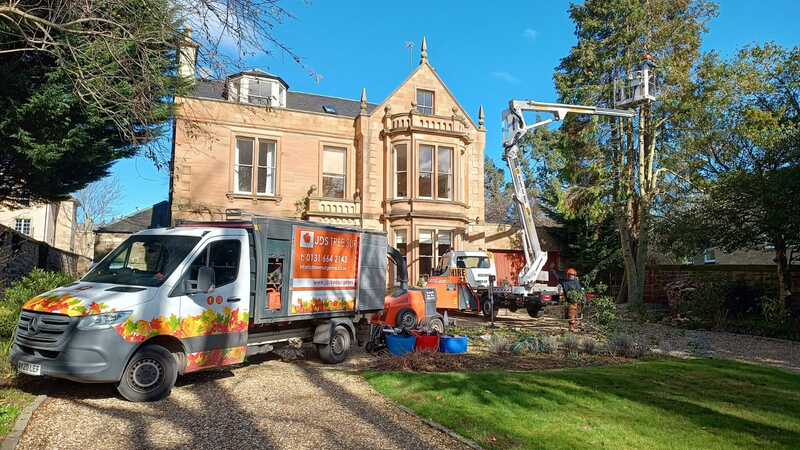 Tree surgeon services in Edinburgh by JDS Gardening, click here for an online quote