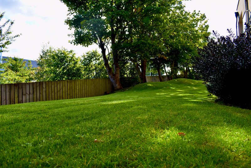 Commercial lawn care contractors in Edinburgh, JDS Gardening Services
