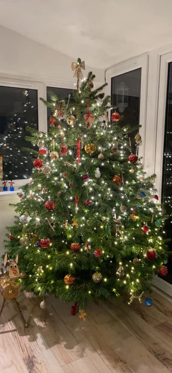 Real Nordmann Fir Christmas Tree Delivery  Edinburgh