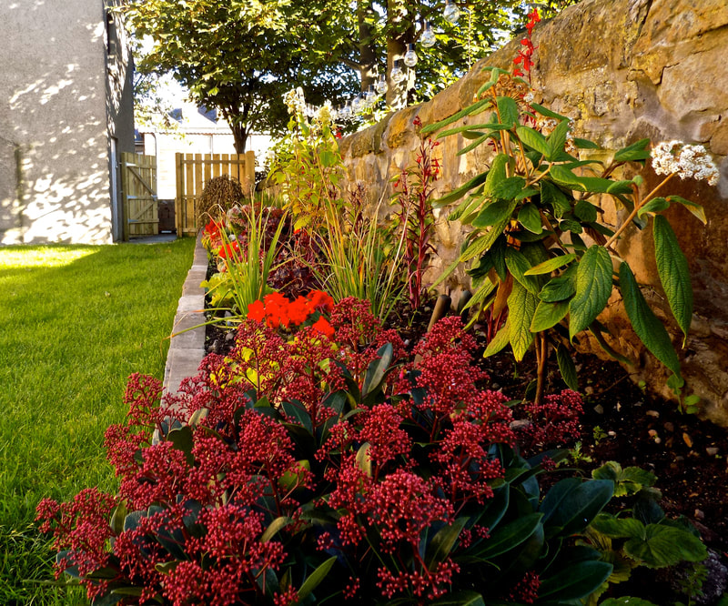 New build garden planting services in Edinburgh, hedges, trees, and shrubs planted, contact JDS Gardening for a quote.