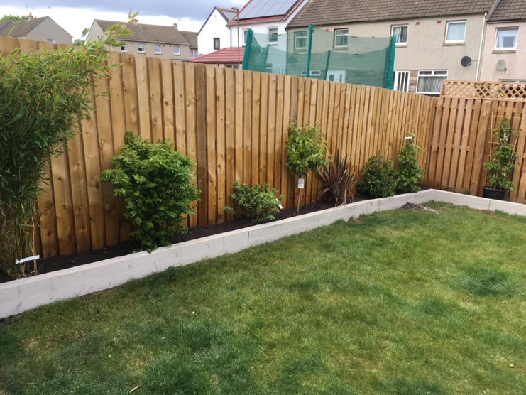 Garden border planting in Edinburgh by JDS Gardening Services, click here for a quote