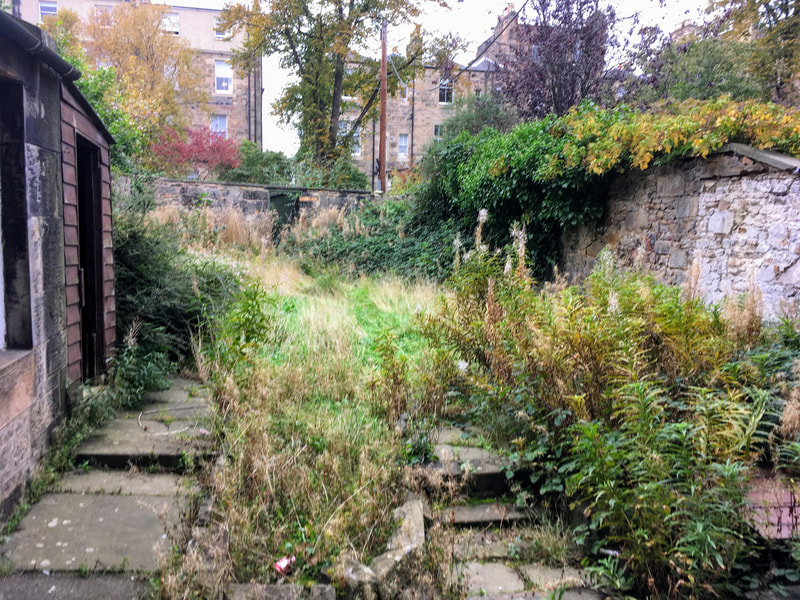Garden clearance and makeover in Edinburgh by JDS Gardening