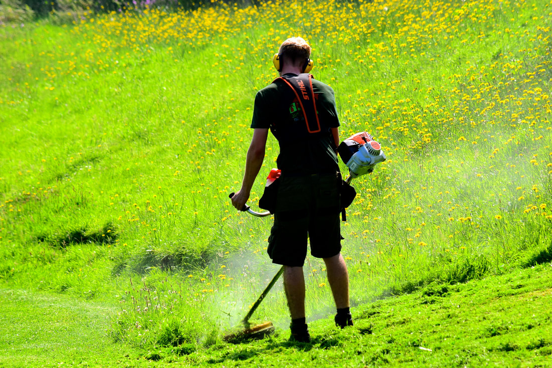grass strimming contractors in Edinburgh, contact JDS Gardening services