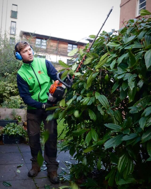 Click and read about the JDS hedge cutting services in Edinburgh