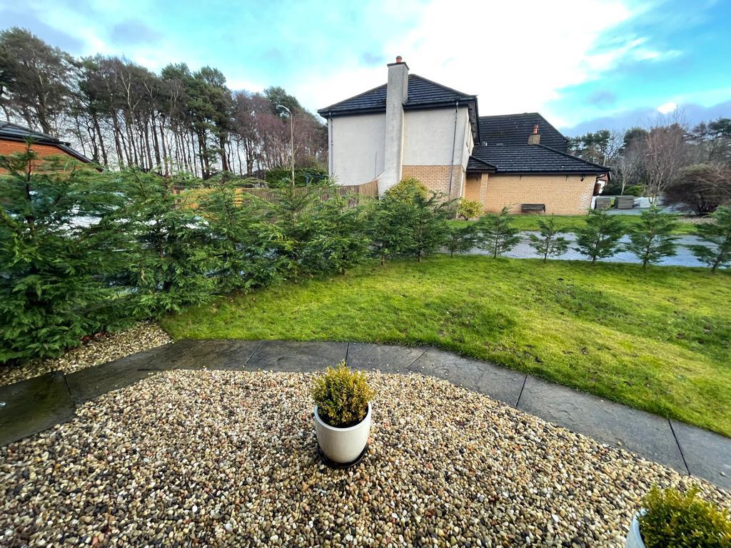 Garrden hedge removal in Edinburgh, click here for costs