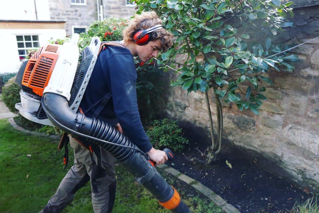 Book regular garden maintenance online with JDS Gardening, clikc here for a quote