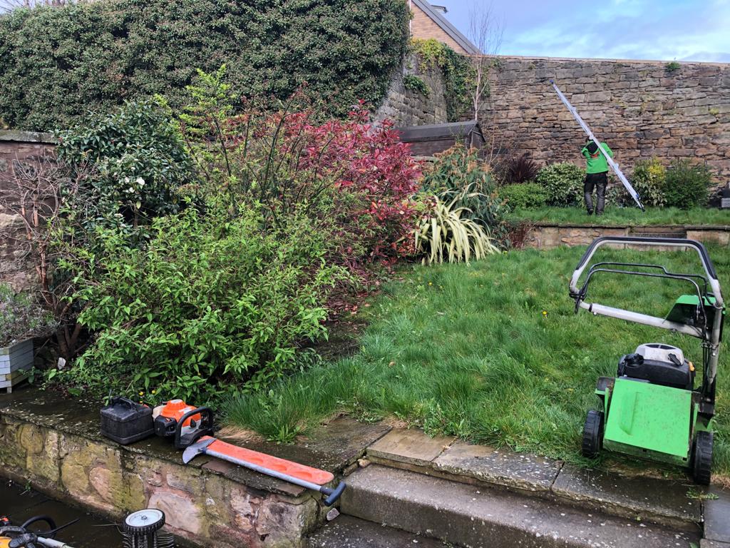  Do you need a garden tidy up company in Edinburgh? click here and contact JDS Gardening Services for a quote