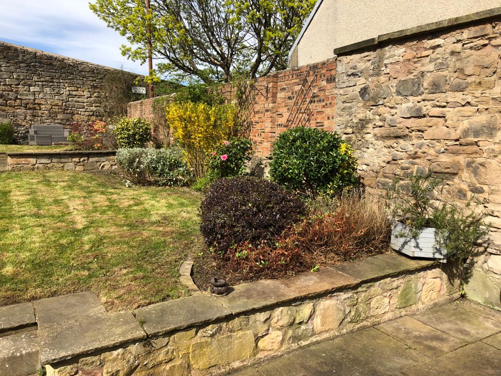 Garden tidy up reviews in Edinburgh from JDS Gardening Ltd
