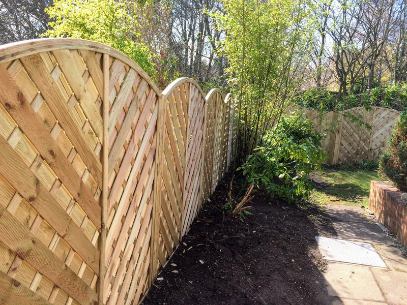 Garden timber fence contractor in Edinburgh and Lothians