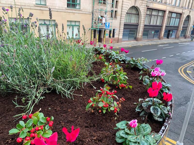 Commercial planting company in Edinburgh by JDS Gardening Services, click here for a quote