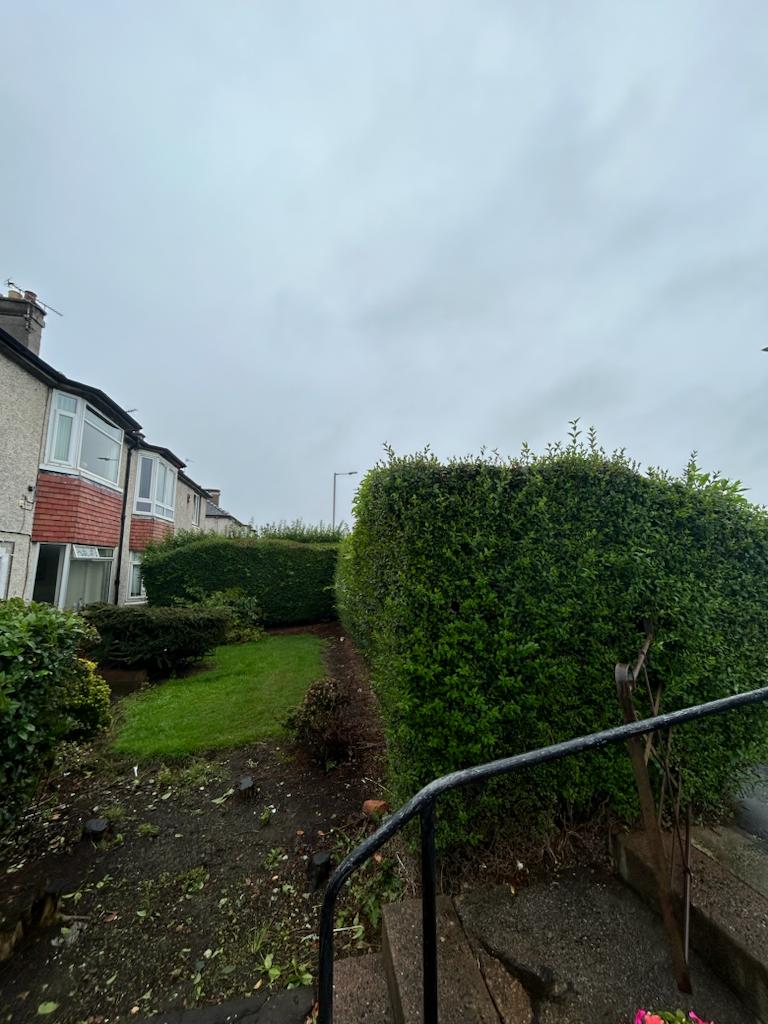 Would you like a hedge removed and a new fence installed in your garden, contact JDS Gardening for a quote in the Corstorphone area of Edinburgh.