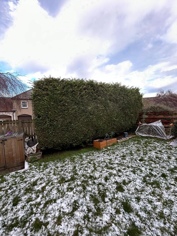 Garden hedge removal in Edinburgh by JDS Gardening Services, click here for a quote
