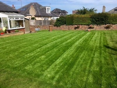 Does you garden need a new lawn? get a turf supply and installation quote in Edinburgh from JDS Gardening