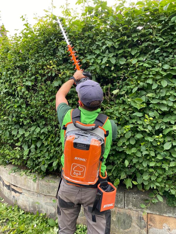 Regular hedge cutting and trimming services in Edinburgh