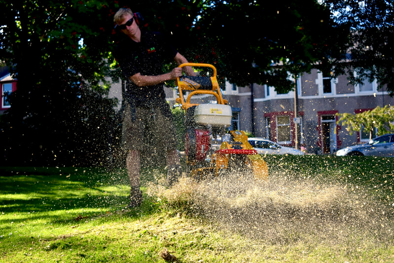 Tree stump grinding and removal services in Edinburgh by JDS Gardening