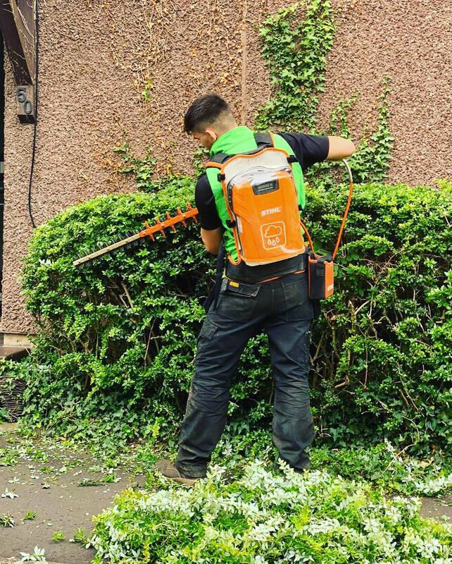 Hedge Cutting and Removal in Edinburgh by JDS Gardening Services