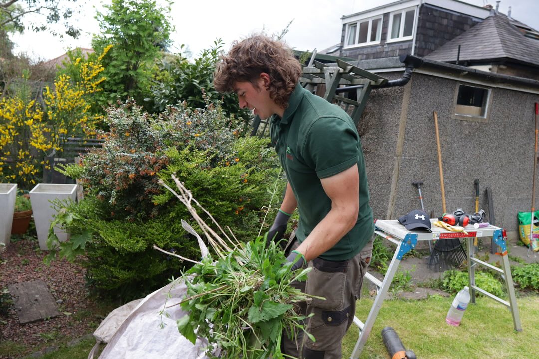 If you need recommended gardening services in Edinburgh please click here and read our reviews 