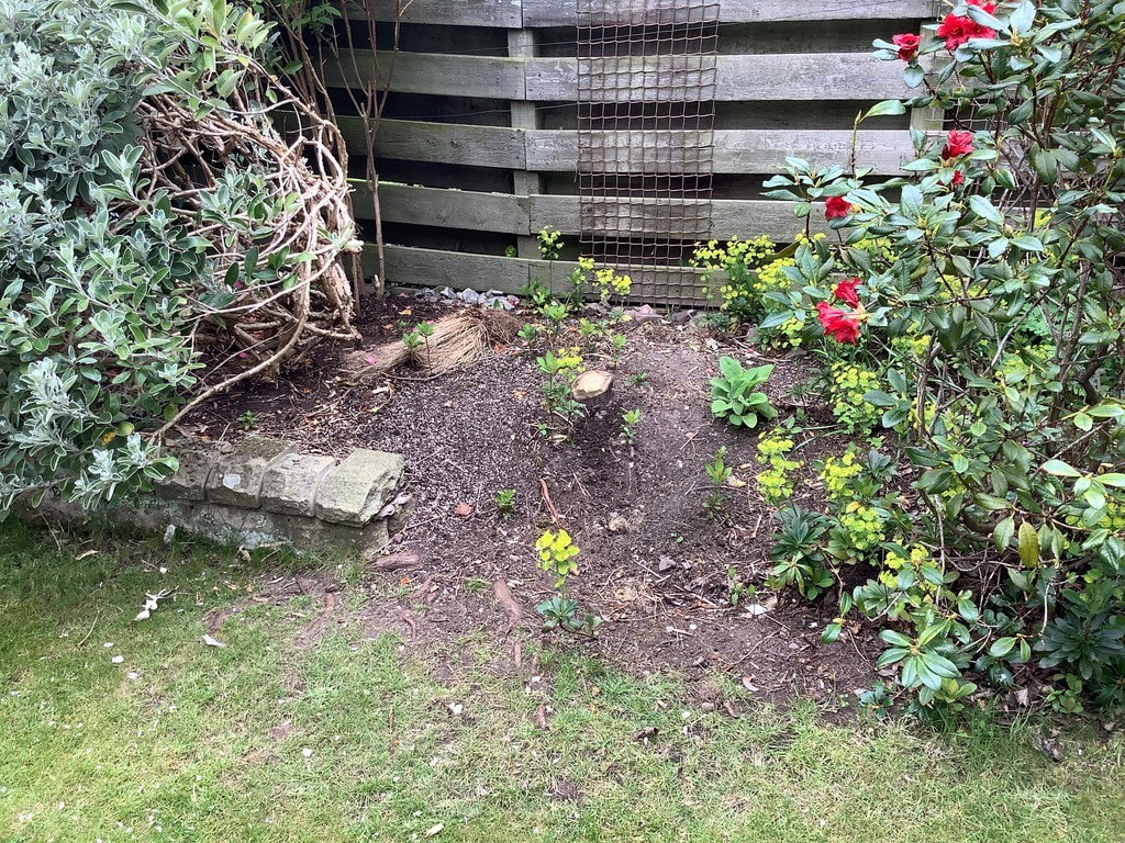 Tree root and stump removal Edinburgh by JDS Gardening Services