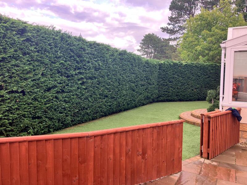 Tall hedge cutting in Edinburgh, click here for a hedge cutting quote in the Edinburgh area from JDS Gardening Services