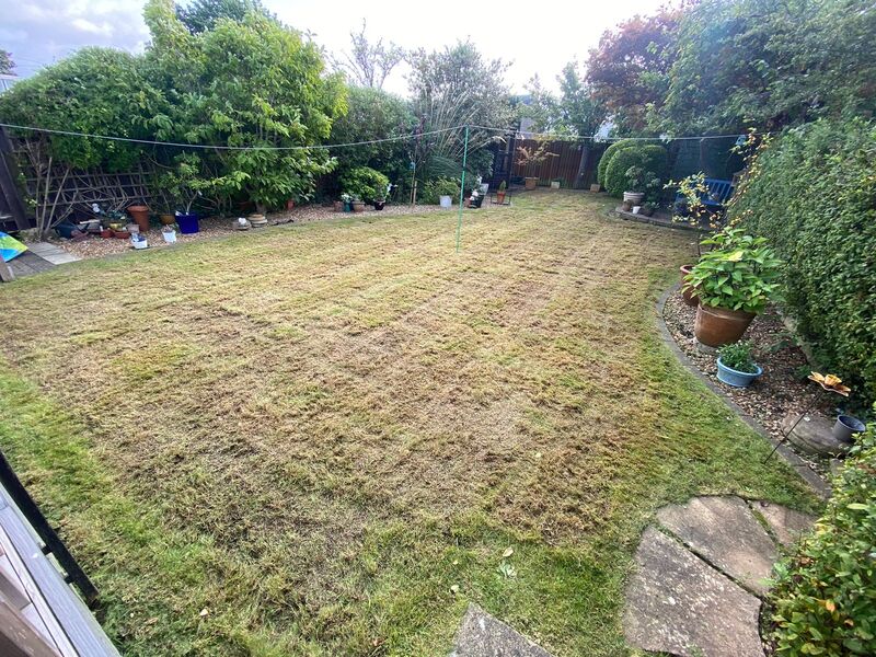 Does your garden lawn need care and attenion all year round? contact JDS Gardening in Edinburgh for a regular  lawn care quote in the Edinburgh area.
