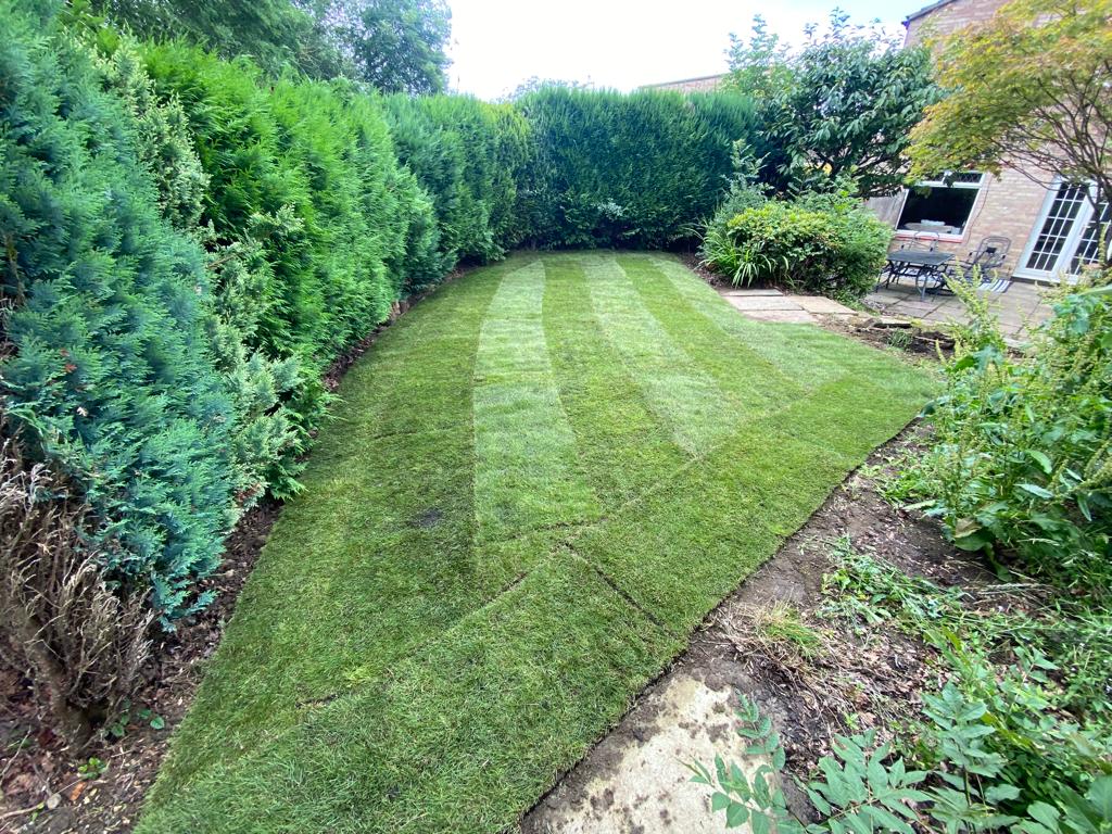 New lawn turf installation in East Craigs, Edinburgh by JDS Gardening Services, click here for an online quote