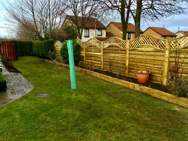 Arched Panel fencing installation by JDS Gardening Services, click here for a panel fence installation quote near you in Edinburgh
