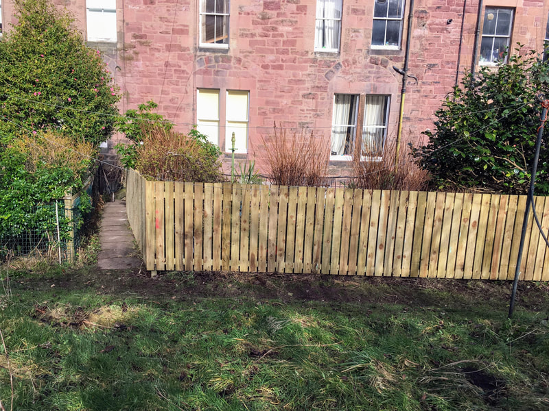 Edinburgh garden fence company