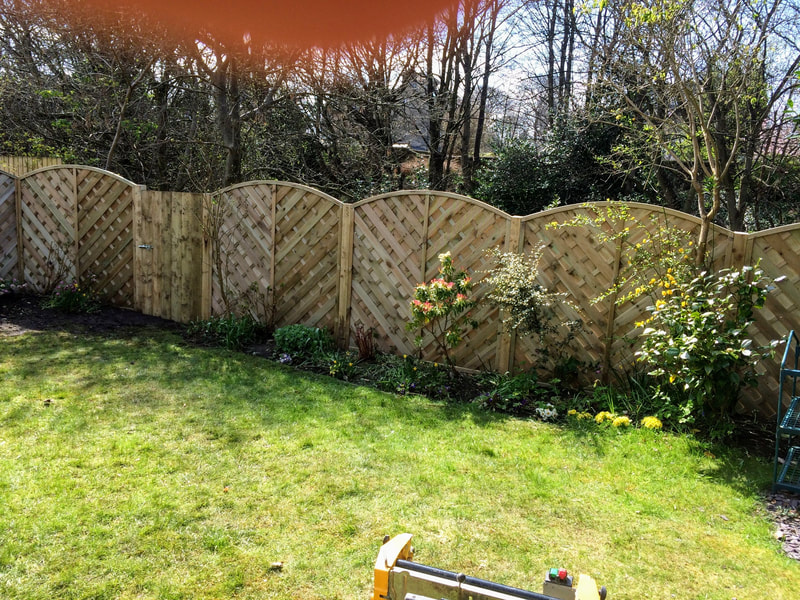 New arched garden fence panel quote Edinburgh