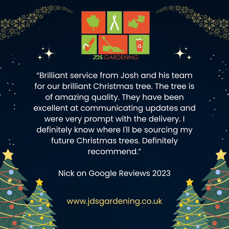 5-star Christmas Tree delivery review from Nick in Edinburgh, click here and order a real Christmas Tree online for delivery in the Edinburgh area