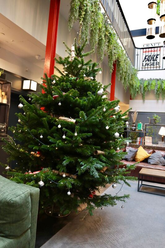 Do you need a real Christmas Tree delivery in Edinburgh this Christmas? click and order a real Fir Christmas Tree online for delivery in the Leith area of Edinburgh