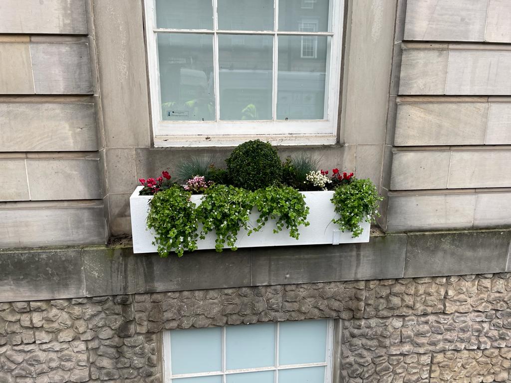 JDS pupply and install plants for businesses in Edinburgh, click here for a quote.