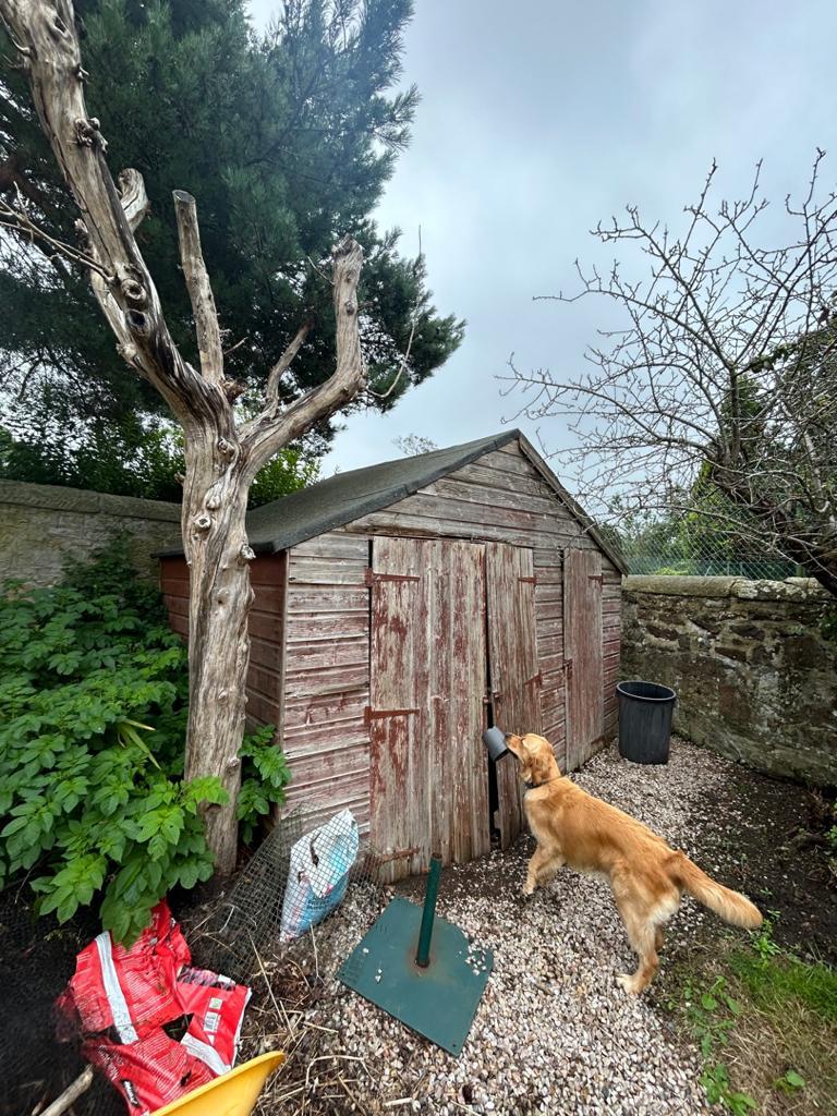 Do you need an old garden shed removal service in Edinburgh? click here and get a shed removal quote from JDS Gardening services in Edinburgh