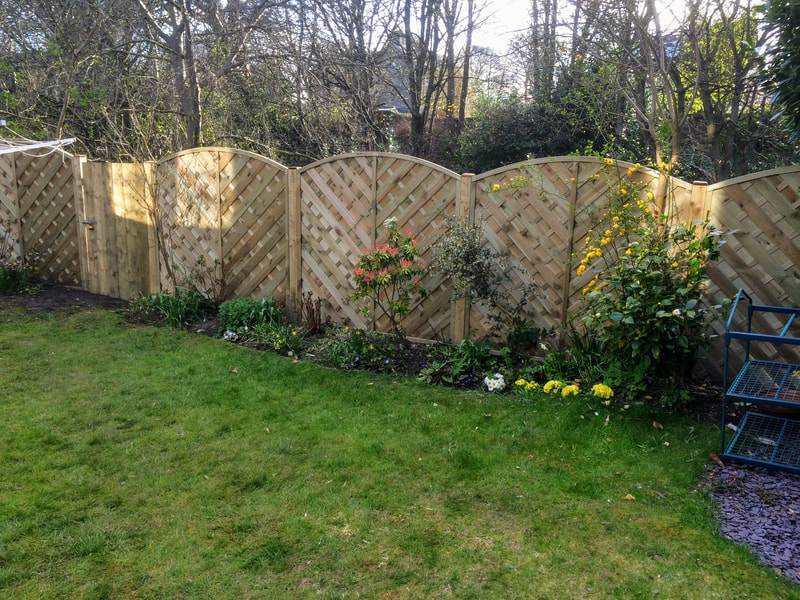 Arched Fence Panel Repairs by JDS Gardening Services, click here for a panel fence installation quote near you in Edinburgh