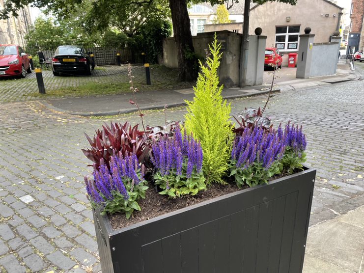 Outdoor planter planting in Edinburgh by JDS Gardening Services, click here for a quote